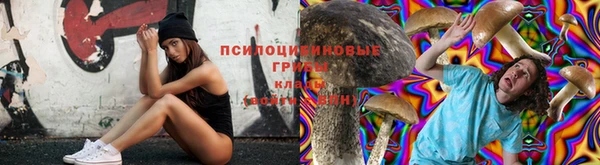 кокаин Сосновый Бор